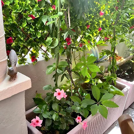 מלון Eden - La Baigneuse ז'ואן-לה-פינס